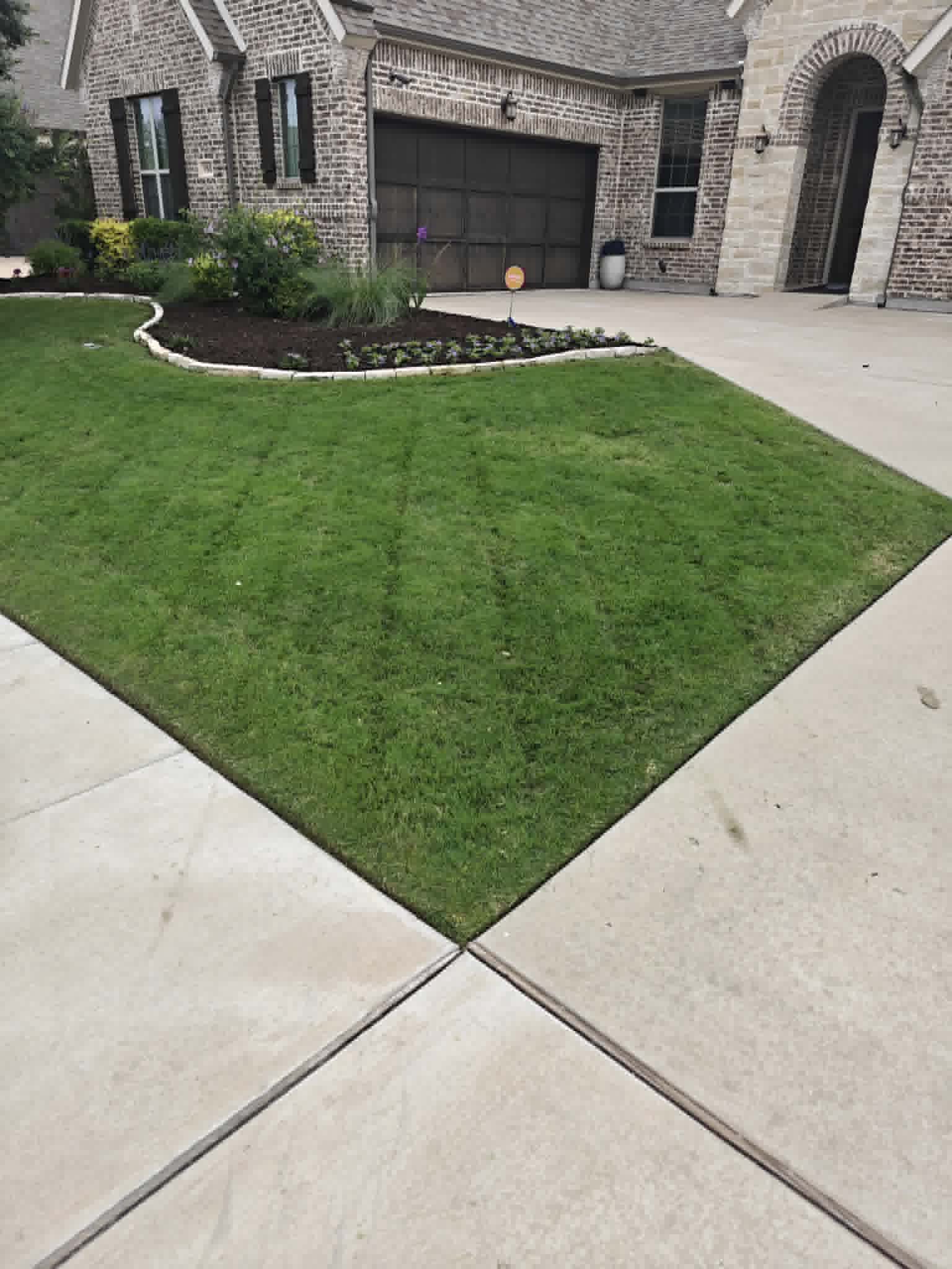 Lawn Edging Before