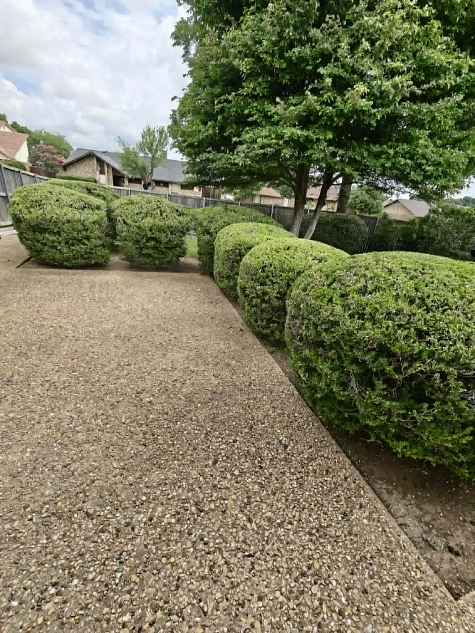 Lawn Edging After