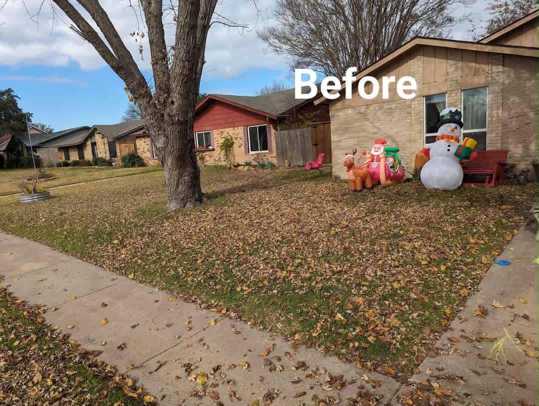 Overgrowth Remediation After